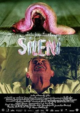 梦魇疯人院(2005)