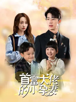 首富大佬的小孕妻