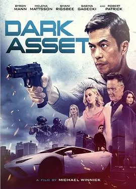 黑暗资产(2023)