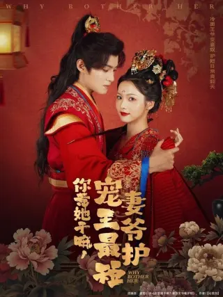 你惹她干嘛，宠妻王爷最护短