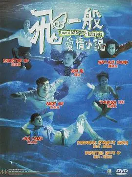 飞一般爱情小说(1997)