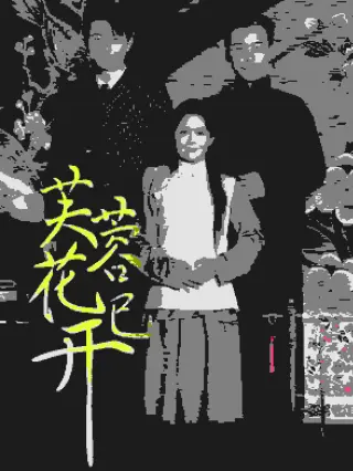 芙蓉花已开