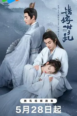 错嫁世子妃