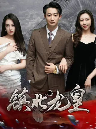 镇北龙皇（镇北龙帅）