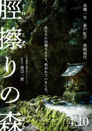 胫擦之森 脛擦