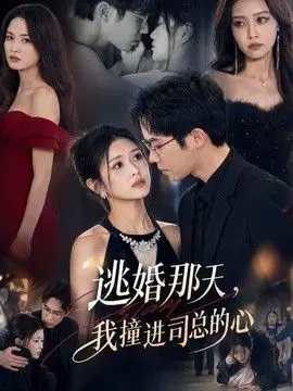 逃婚那天，我撞进司总的心