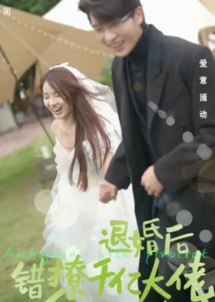 退婚后,错撩千亿大佬