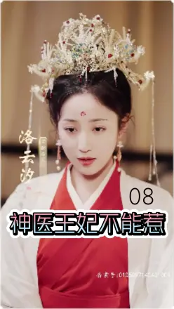 神医王妃不能惹