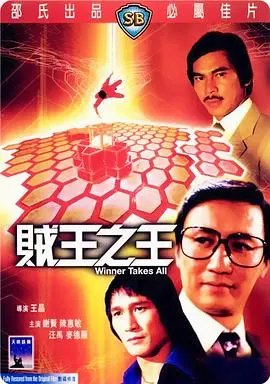 贼王之王(1982)