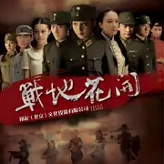 战地花开(2011)