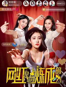 网红是怎样炼成的(2017)