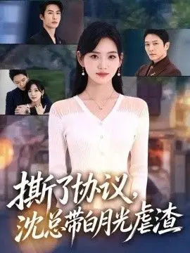 撕了协议，沈总带白月光虐渣
