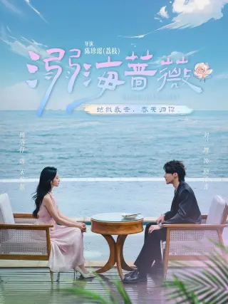溺海蔷薇