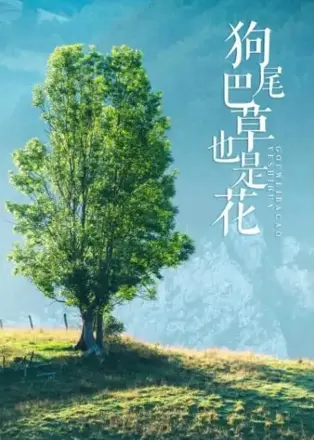 狗尾巴草也是花