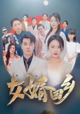 女婿回乡