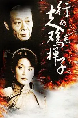 行走的鸡毛掸子(2005)