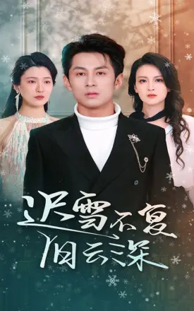 迟雪不复旧云深（当年明月，负尽深雪）