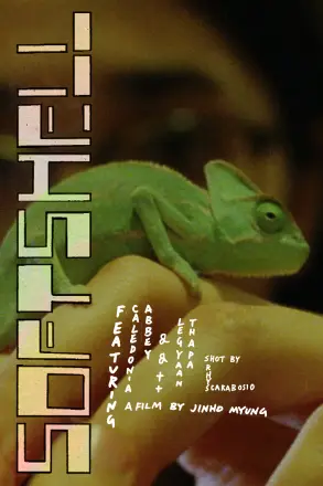 软壳