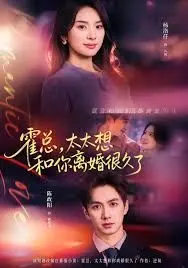 霍总,太太想和你离婚很久了