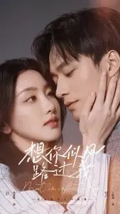 想你似风路过我