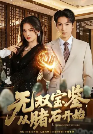 无双宝鉴,从赌石开始