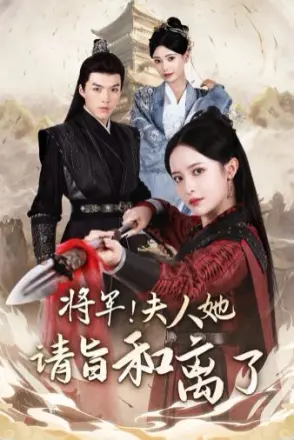 将军!夫人她请旨和离了