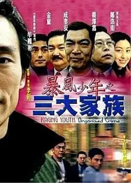 暴风少年之三大家族(2001)