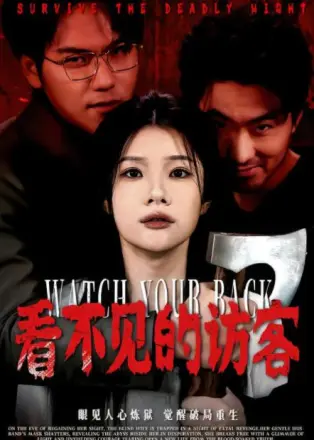 看不见的访客
