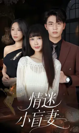情迷小盲妻