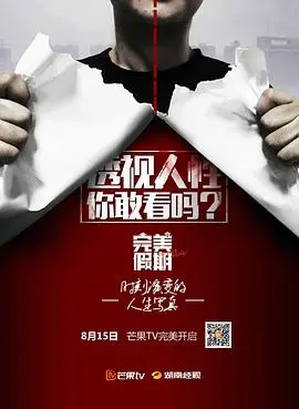 完美假期(2015)