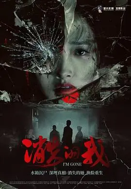 消失的我(2026)
