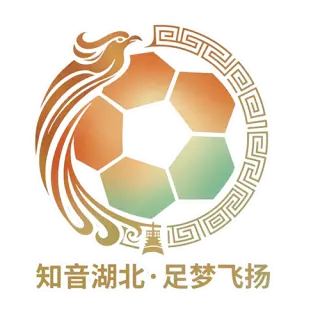 湖北省城市足球联赛 武汉华工科技队VS黄冈祥云队20260927