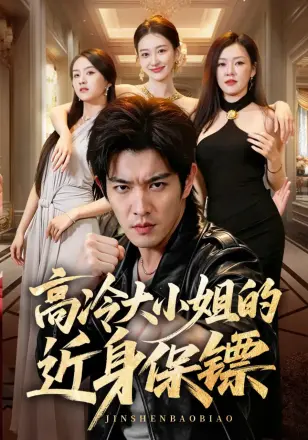 高冷大小姐的近身保镖