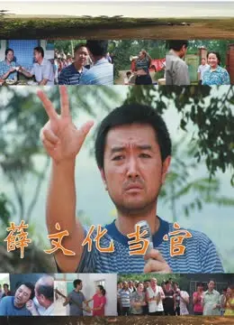 薛文化当官记