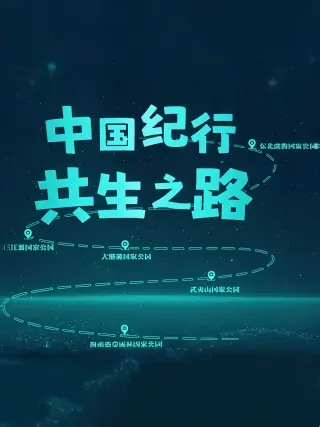 中国纪行:共生之路