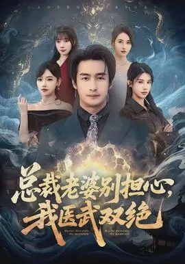 总裁老婆别担心，我医武双绝