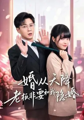 婚从天降老板非要和我隐婚