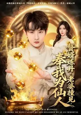 赘婿炼丹老婆撞见奉我为仙人(2026)
