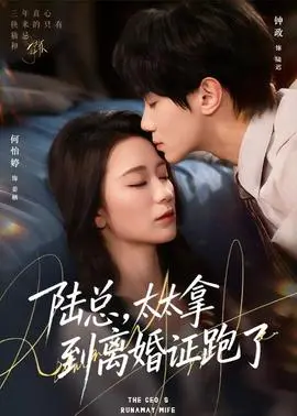 陆总，太太拿到离婚证跑了