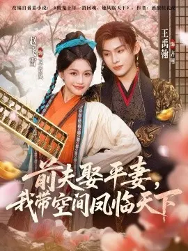 前夫平妻，我带空间凤临天下