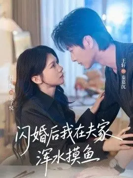 闪婚后我在夫家浑水摸鱼