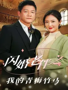 闪婚老伴之我的青梅竹马