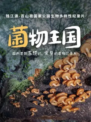菌物王国