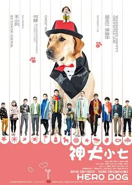 神犬小七 第二季