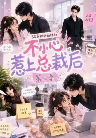 不小心惹上总裁后第二季