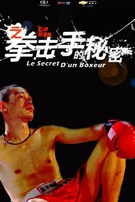 11度青春之拳击手的秘密(2010)