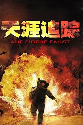 天涯追踪(1998)
