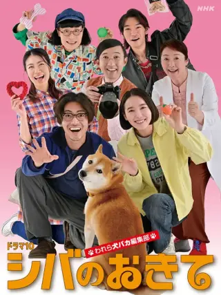 柴犬的规矩～我们这群狗痴编辑部