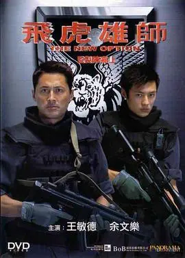 飞虎雄师(2002)