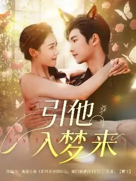 引他入梦来